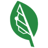 Bigleaf Networks