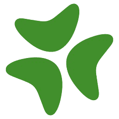 Bloomerang