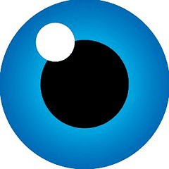 GMO GlobalSign