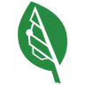 Bigleaf Networks