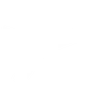 Branch