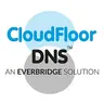 CloudfloorDNS