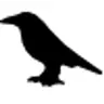 Corvus