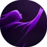 HeyFloe