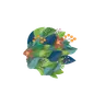 Indirabhorstmd