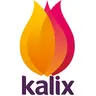 Kalix EMR