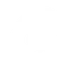 NetSpeek