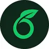 Overleaf