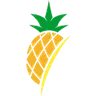 Pineapple Connect LLC