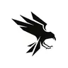 Raven.io