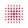 SwarmOne