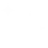Unqork
