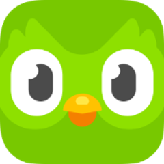 Duolingo logo and current status indicator